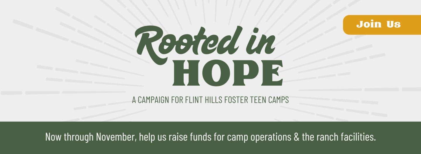 Now through November, helps us raise funds for camp operations & the ranch facilities.